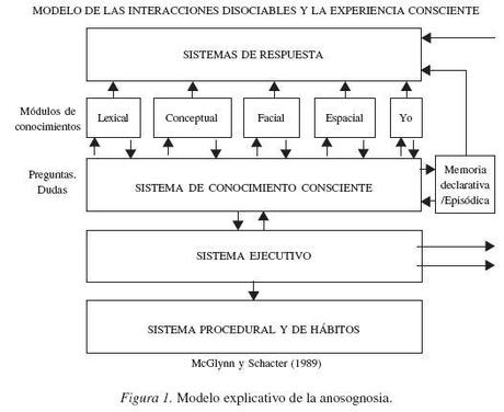 Evaluación de la anosognosia en la enfermedad de Alzheimer.