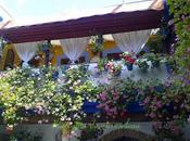 Patios Córboba