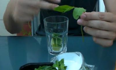 ¿Nos hacemos un Mojito ?