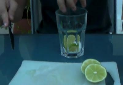 ¿Nos hacemos un Mojito ?