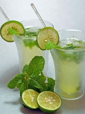 ¿Nos hacemos un Mojito ?