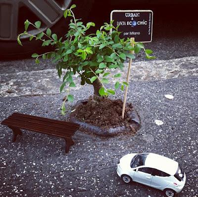 Jardinería en los baches, jardineros de guerrillas