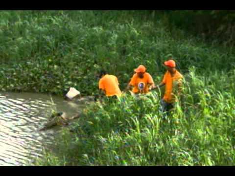 TRAGEDIA: Rescatan cadáver de niño pereció ahogado en Santiago
