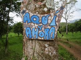 LA IMPORTANCIA DE VIVIR EL PRESENTE