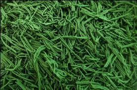 a277 Espirulina: Una alga para adelgazar y mucho más…