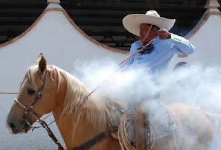 Se Quedó Hacienda Tamariz CYM, con  396 bonos; Potrillos a un paso