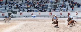Se Quedó Hacienda Tamariz CYM, con  396 bonos; Potrillos a un paso