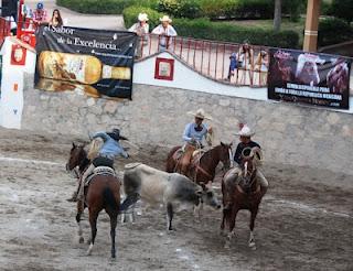 También Hacienda Vieja más allá de la excelencia