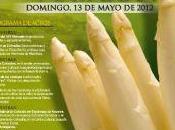 espárrago dicastillo