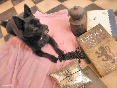 HOY COMPARTIMOS ..... RESCATADOS