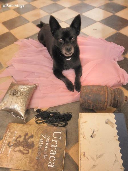 HOY COMPARTIMOS ..... RESCATADOS