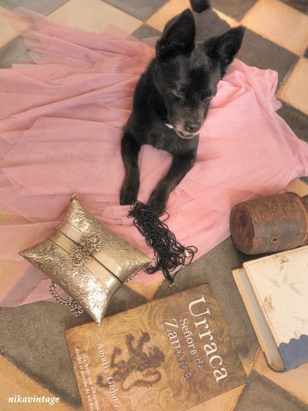 HOY COMPARTIMOS ..... RESCATADOS