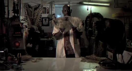 Un spot que muestra qué pasa si atas un gato a una tostada