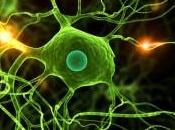 Federación Española Parkinson inicia Cuestionario Epoca calidad vida pacientes