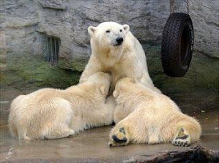 La magia del número 7