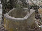 Rescatan vida galgo arrojado pozo ocho metros profundidad