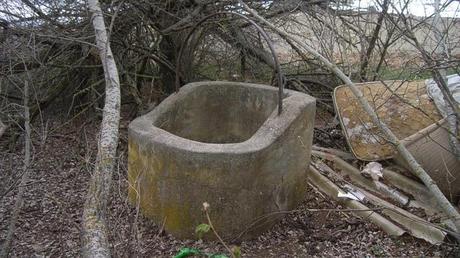 Rescatan con vida a un galgo arrojado a un pozo de ocho metros de profundidad Rescatan con vida a un galgo arrojado a un pozo de ocho metros de profundidad