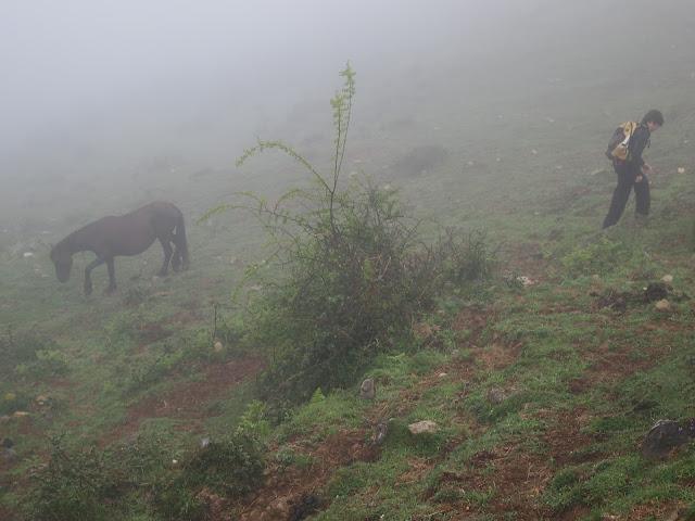 buscando el monfrechu...