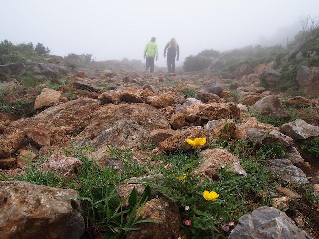 buscando el monfrechu...