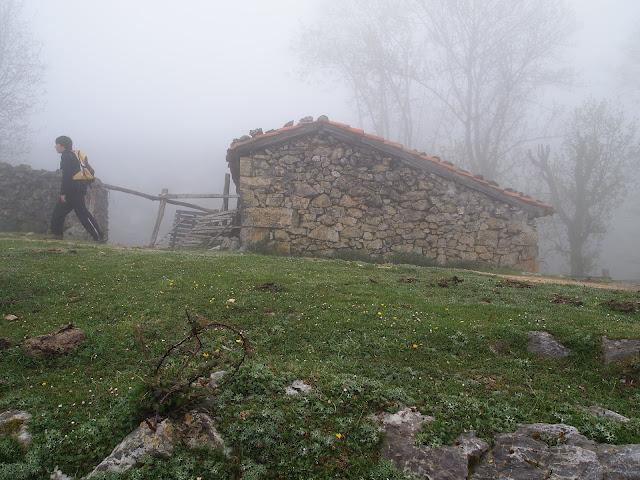 buscando el monfrechu...