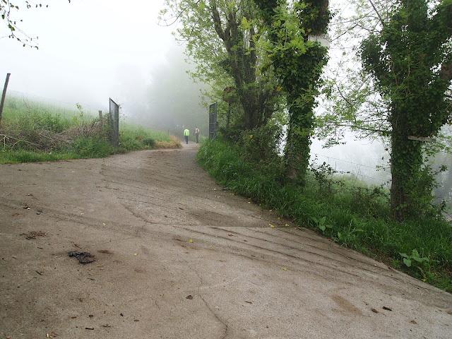 buscando el monfrechu...