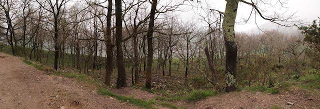 buscando el monfrechu...