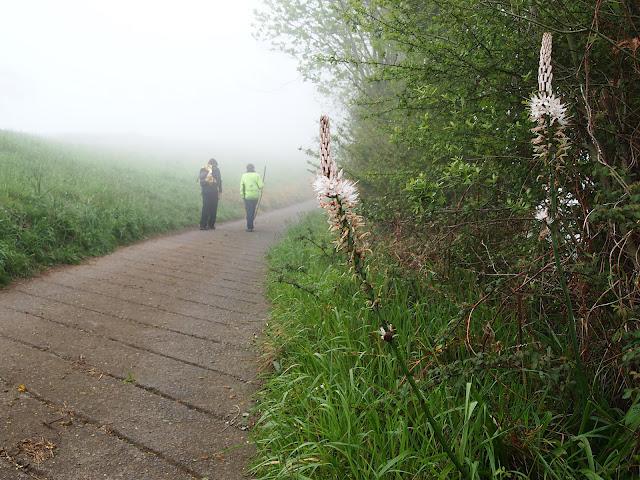 buscando el monfrechu...