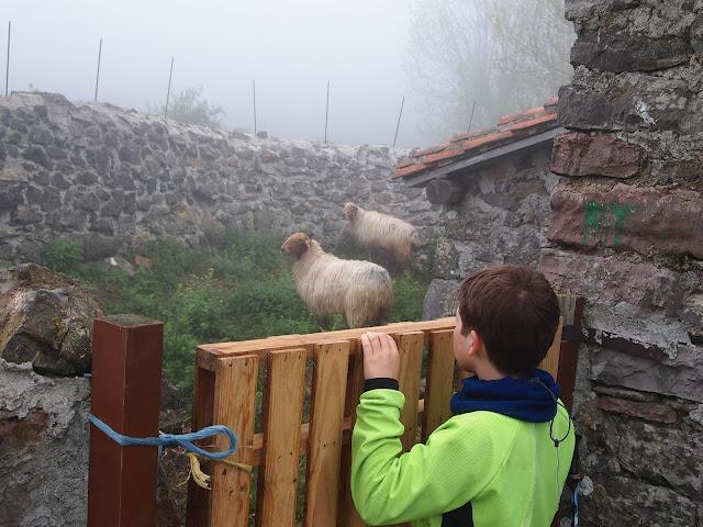 buscando el monfrechu...