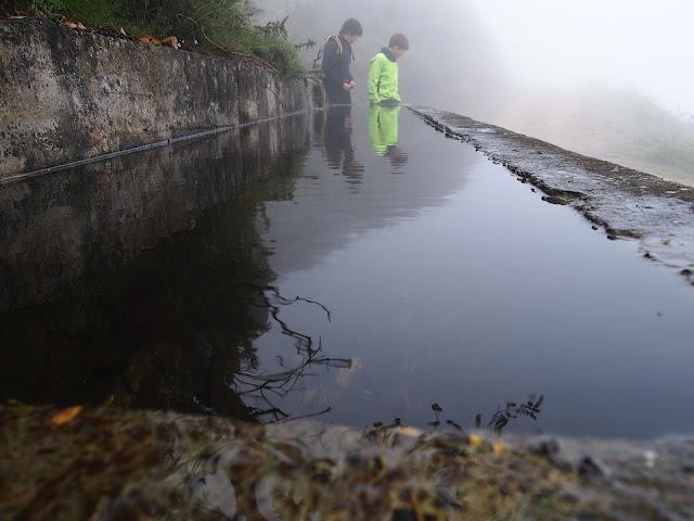 buscando el monfrechu...