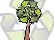 cinco medidas urgentes para reciclar mejor España