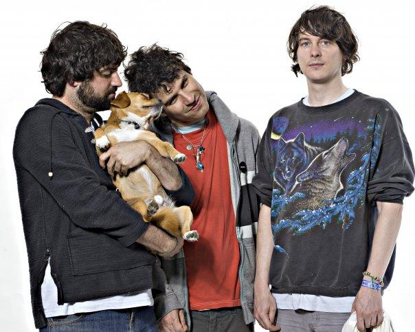Animal Collective anuncian nuevo disco