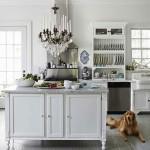 hbx-white-kitchen-with-dog-xln