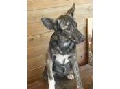 Lysan, meses enamorara cosita dulce mundo‏