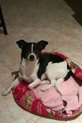 Se deshacen de Coki‏.