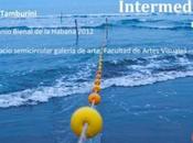 Intermedios