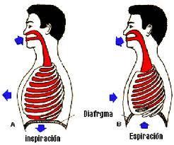 r321  La importancia de la respiración en el Método Pilates