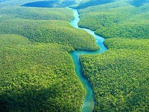 Dato curioso #13: El Río Amazonas, el más largo y caudaloso del Mundo