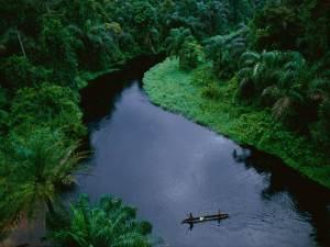 Dato curioso #13: El Río Amazonas, el más largo y caudaloso del Mundo