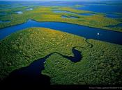 Dato curioso #13: Amazonas, largo caudaloso Mundo