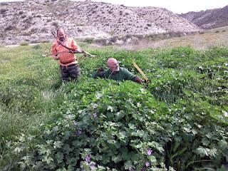 Instantáneas arqueras.