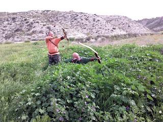 Instantáneas arqueras.