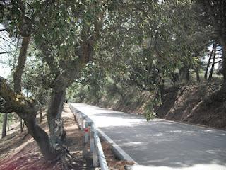 Paseo por los Montes de Málaga