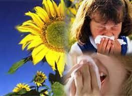 Alergias, Árboles y Plantas