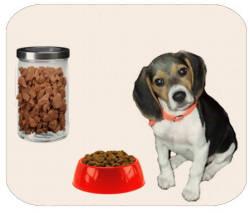 Comentario en La alimentación de un cachorro: cómo pasar al pienso por Carmela