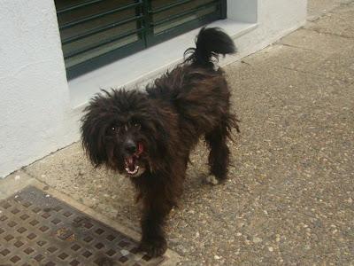 NICHE, EN LA CALLE. (HUELVA)‏
