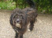 Niche, calle. (huelva)‏