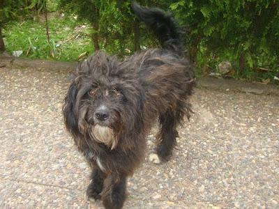 NICHE, EN LA CALLE. (HUELVA)‏