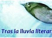 Sorteo seguidores blog Tras lluvia literaria