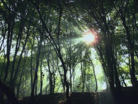 Perdidos en el misterio Perdidos en el misterio