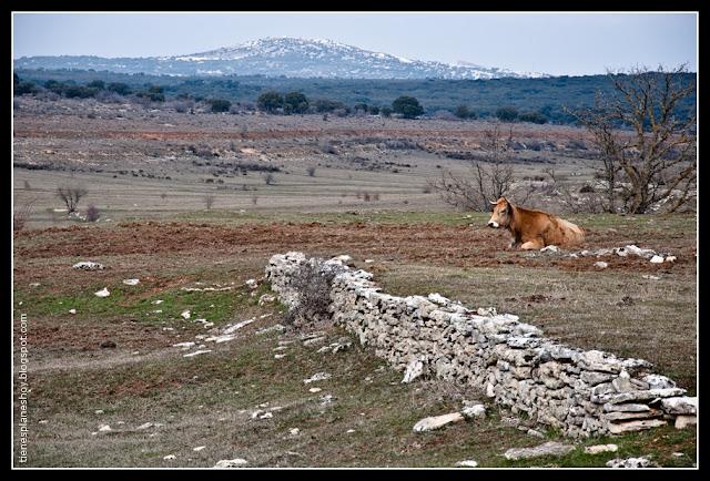 Orbaneja del Castillo